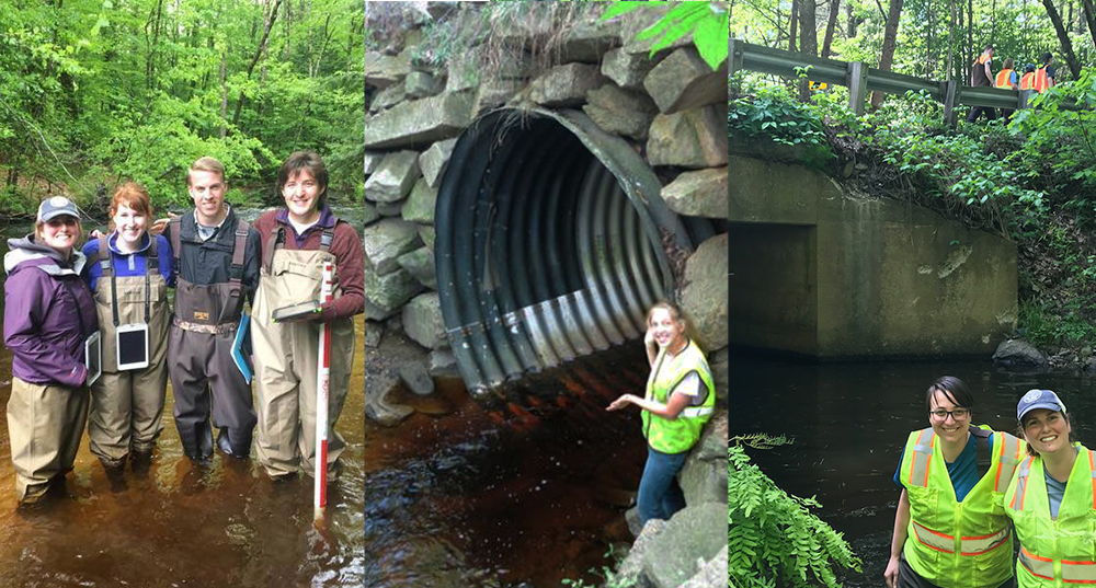 The combined photos of staff assessing culverts in near rivers