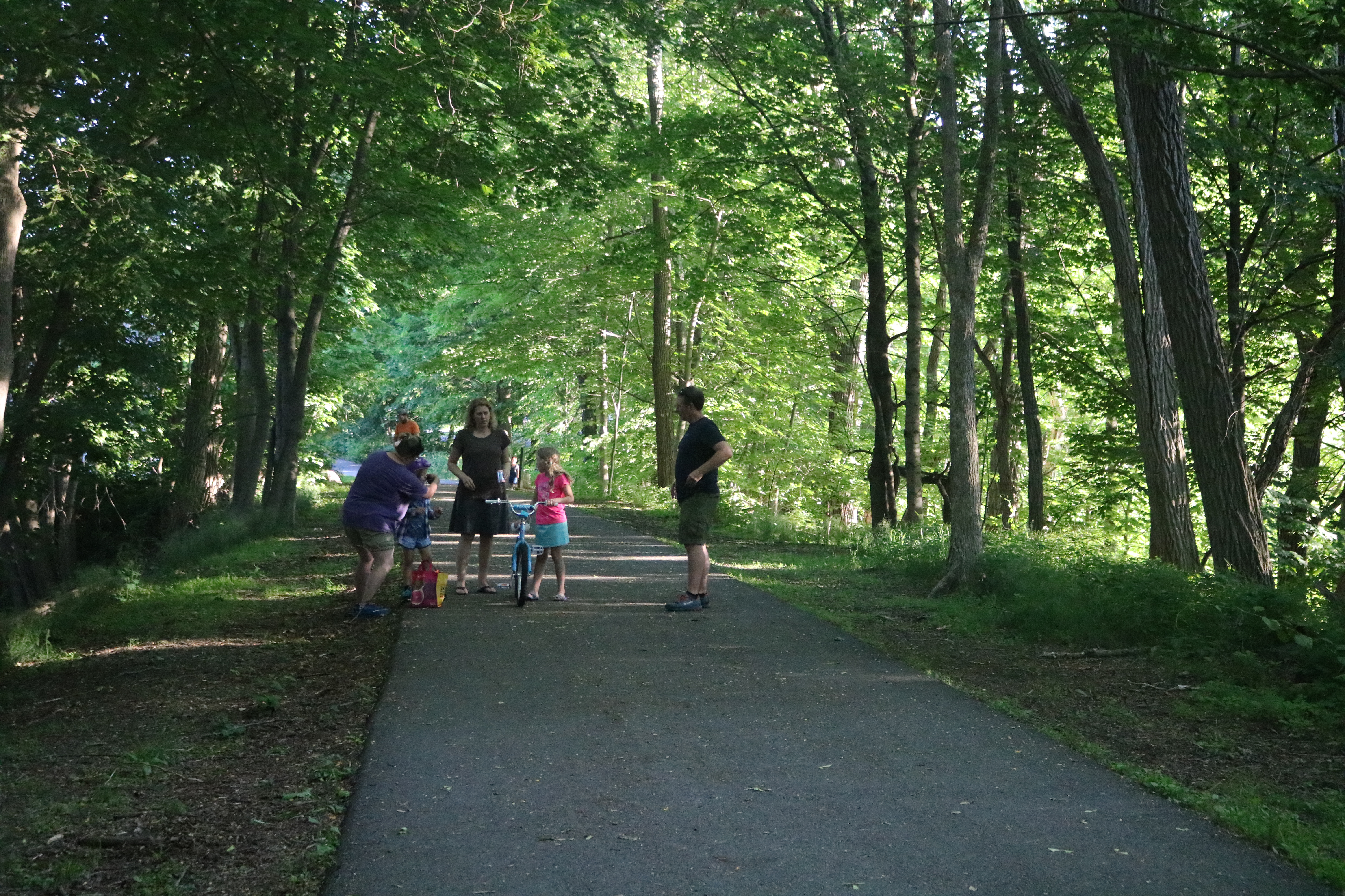 A family walk and bikes on the forested part of the Dover Community Trail