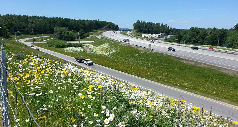 Overlooking Route 16 from an overpass with wildflowers in the foreground