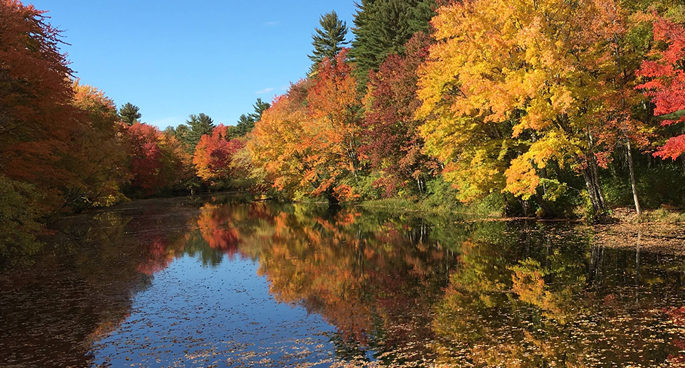 The Lamprey River surround by fall foliage