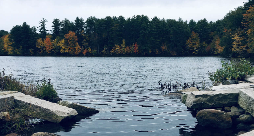 The rochester reservoir flanked by rocks and overlooking a tree line of foliage