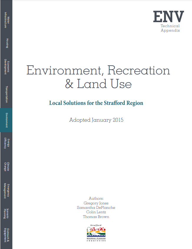 Cover of Local Solutions Appendix: Environment