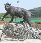 The UNH Wildcat statue in front of the Whittemore Arena with a helmet and bikes in front