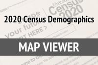 Thumbnail for the 2020 Census Demographics Viewer