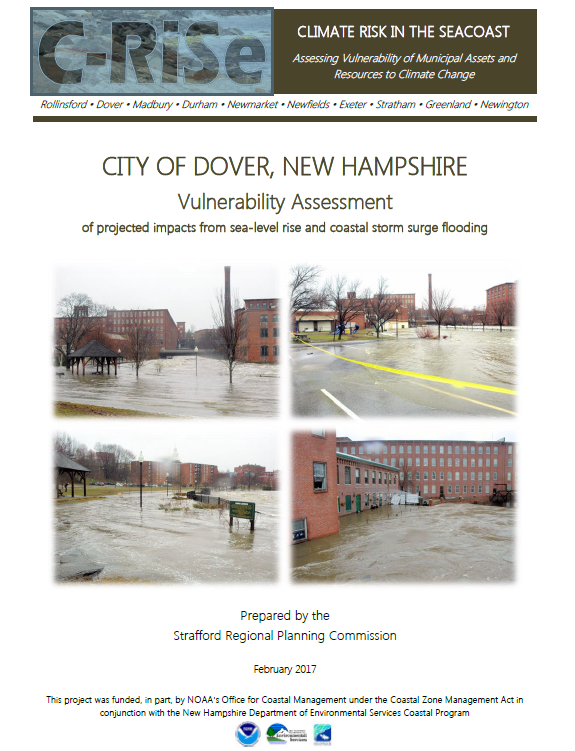 Cover of the C-RiSe Vulnerability Assessment for Dover