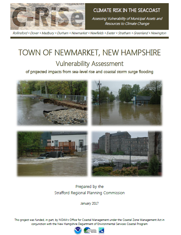 Cover of the C-RiSe Vulnerability Assessment for Newmarket