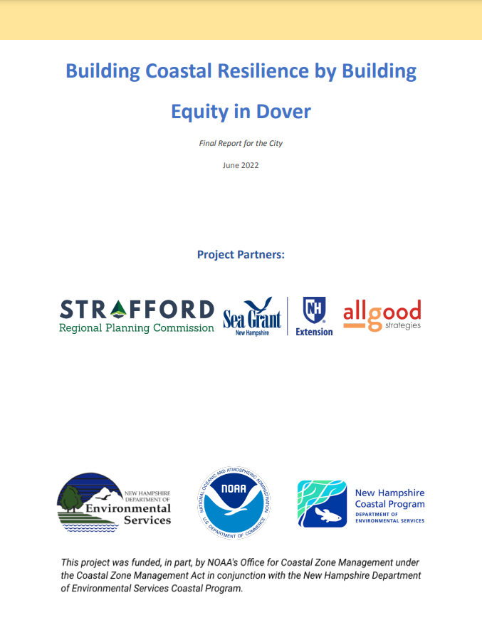 Cover of the Dover Equity final report