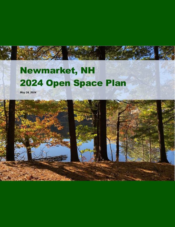 openspacechapter_newmarket_cover